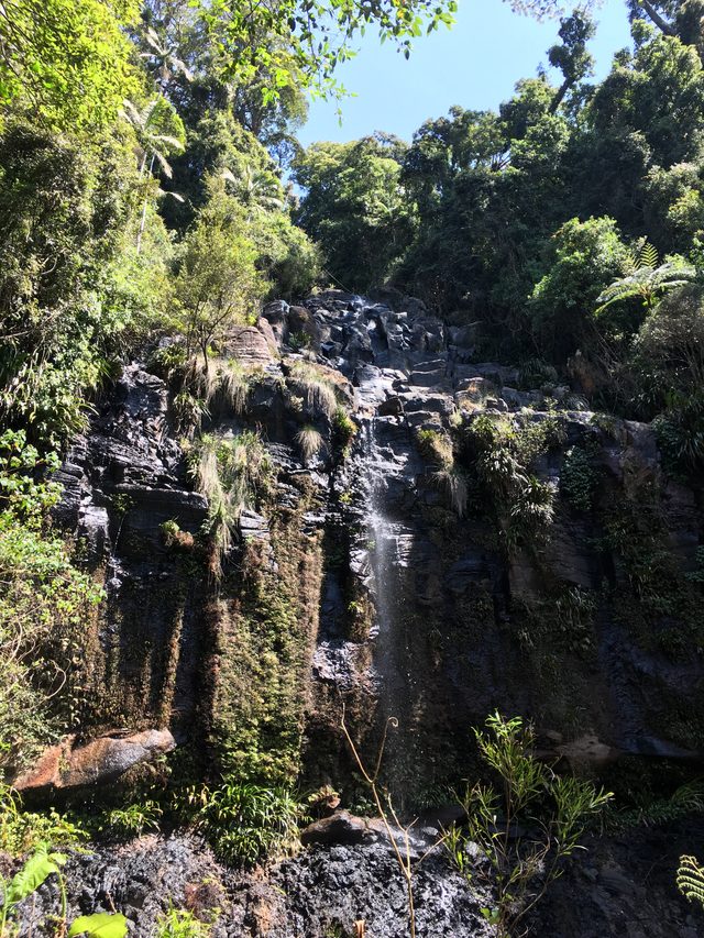 Tamborine waterfall