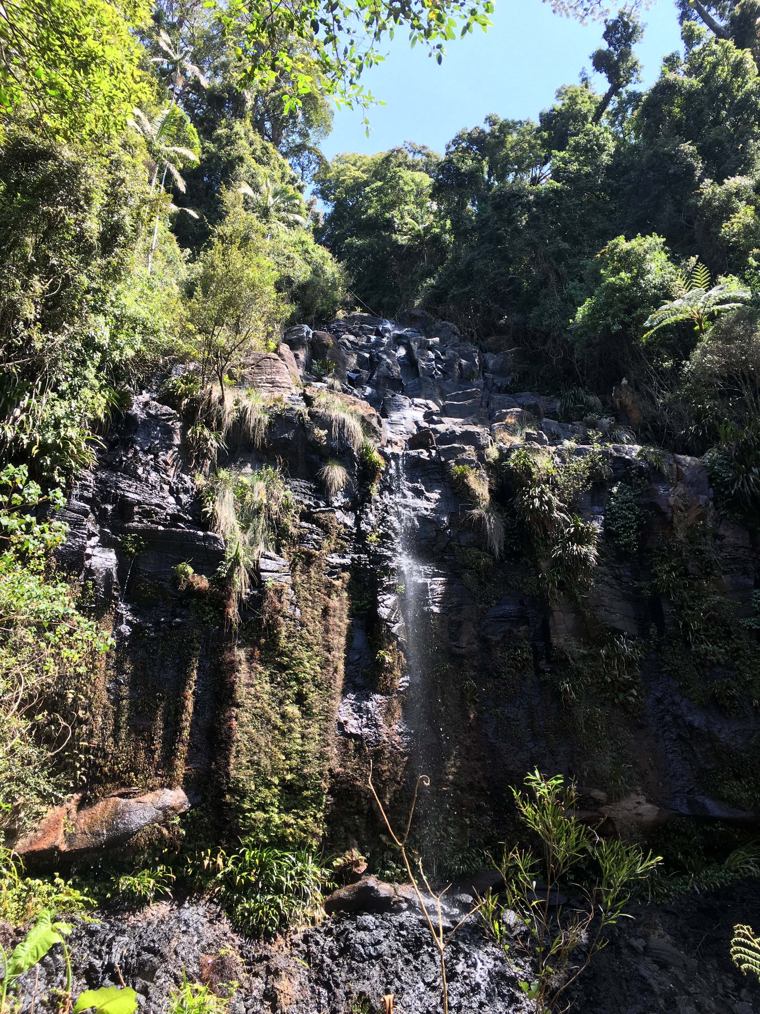 Tamborine waterfall