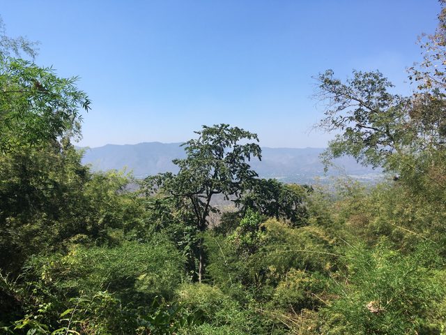 2018-03-03-doi-khun-tan-national-park-03