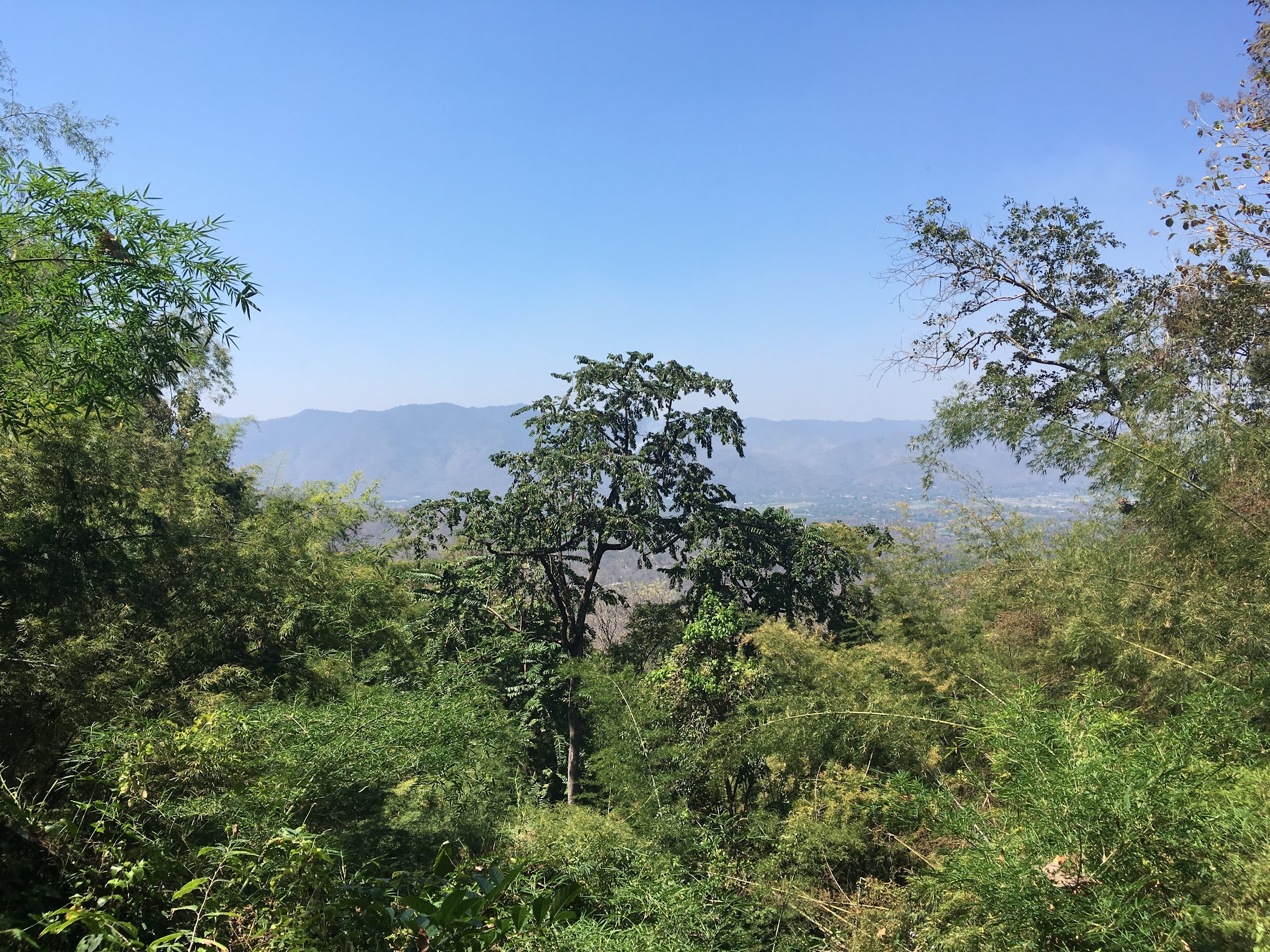 2018-03-03-doi-khun-tan-national-park-03