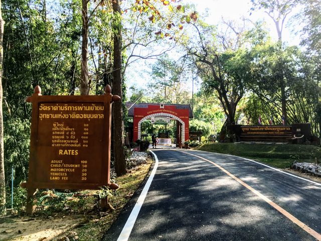 2018-03-03-doi-khun-tan-national-park-04