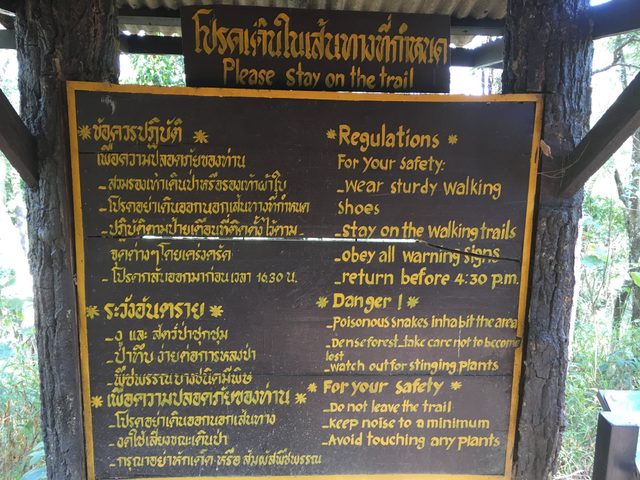 2018-03-03-doi-khun-tan-national-park-05