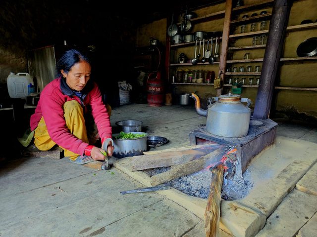 The typical Nepalese kitchen stove (one of our early stops, at Gothichaur)