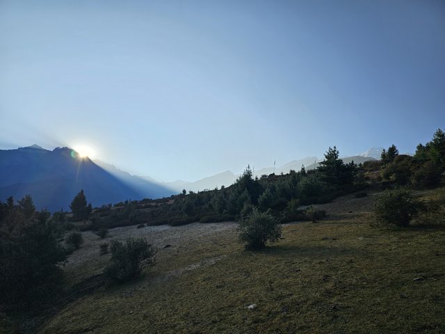 20241021_072549